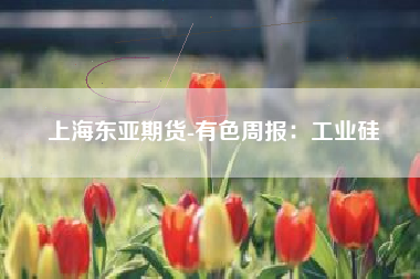 上海东亚期货-有色周报：工业硅