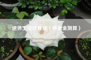 退休工资计算器（养老金测算）