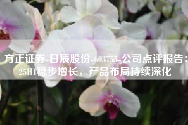 方正证券-日辰股份-603755-公司点评报告：25H1稳步增长，产品布局持续深化