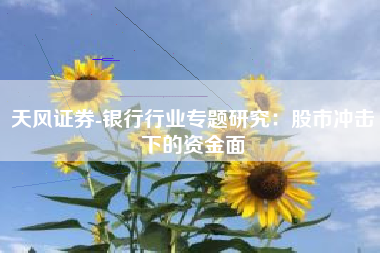 天风证券-银行行业专题研究：股市冲击下的资金面