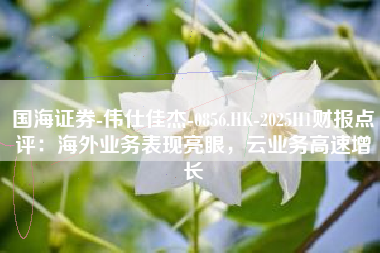 国海证券-伟仕佳杰-0856.HK-2025H1财报点评：海外业务表现亮眼，云业务高速增长