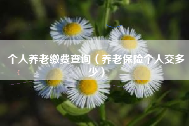个人养老缴费查询（养老保险个人交多少）