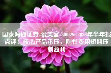 国泰海通证券-爱美客-300896-2025年半年报点评：核心产品承压，刚性费用短期压制盈利