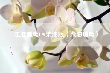 江淮瑞鹰1.9t柴油版（柴油瑞鹰）