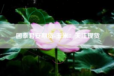 国泰君安期货-玉米：关注现货