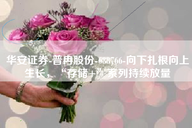 华安证券-普冉股份-688766-向下扎根向上生长，“存储+”系列持续放量