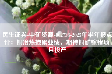 民生证券-中矿资源-002738-2025年半年报点评：铜冶炼拖累业绩，期待铜矿镓锗项目投产