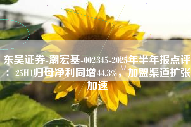 东吴证券-潮宏基-002345-2025年半年报点评：25H1归母净利同增44.3%，加盟渠道扩张加速