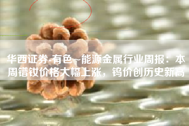 华西证券-有色~能源金属行业周报：本周镨钕价格大幅上涨，钨价创历史新高
