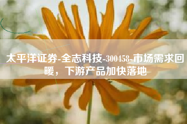 太平洋证券-全志科技-300458-市场需求回暖，下游产品加快落地