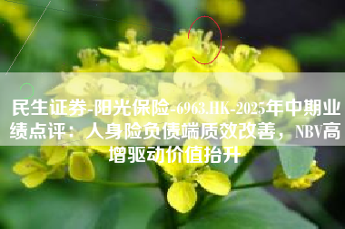 民生证券-阳光保险-6963.HK-2025年中期业绩点评：人身险负债端质效改善，NBV高增驱动价值抬升