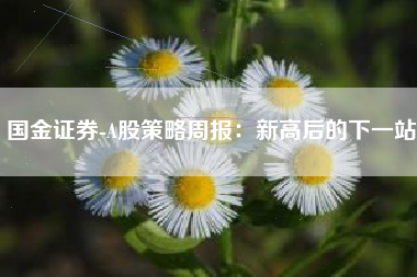 国金证券-A股策略周报：新高后的下一站