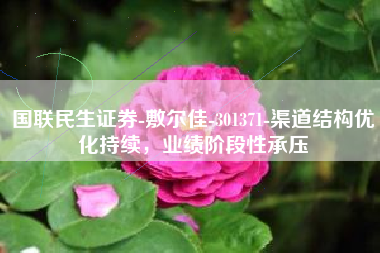 国联民生证券-敷尔佳-301371-渠道结构优化持续，业绩阶段性承压
