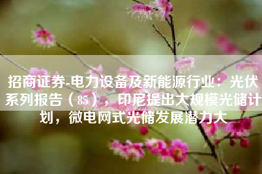 招商证券-电力设备及新能源行业：光伏系列报告（85），印尼提出大规模光储计划，微电网式光储发展潜力大