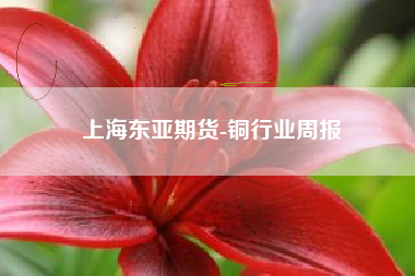 上海东亚期货-铜行业周报
