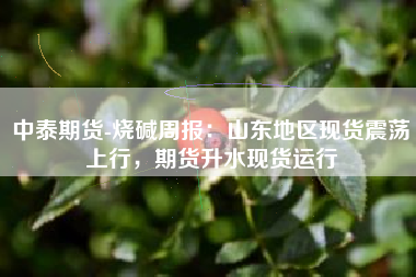 中泰期货-烧碱周报：山东地区现货震荡上行，期货升水现货运行