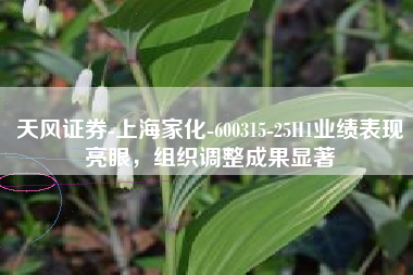 天风证券-上海家化-600315-25H1业绩表现亮眼，组织调整成果显著