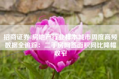 招商证券-房地产行业样本城市周度高频数据全追踪：二手房网签面积同比降幅收窄