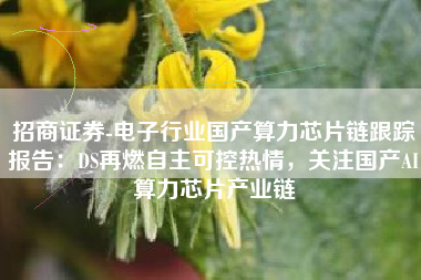 招商证券-电子行业国产算力芯片链跟踪报告：DS再燃自主可控热情，关注国产AI算力芯片产业链