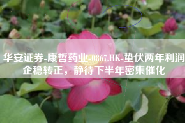 华安证券-康哲药业-0867.HK-蛰伏两年利润企稳转正，静待下半年密集催化