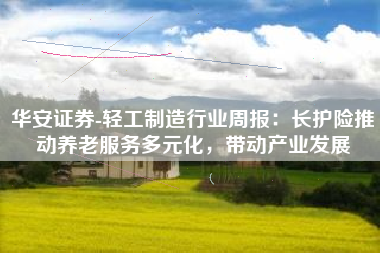 华安证券-轻工制造行业周报：长护险推动养老服务多元化，带动产业发展