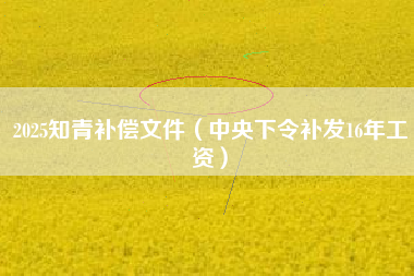 2025知青补偿文件（中央下令补发16年工资）