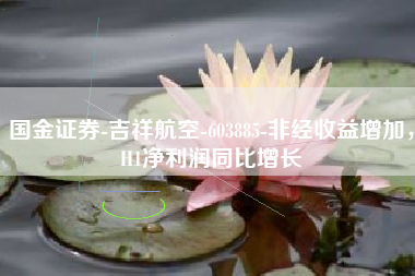 国金证券-吉祥航空-603885-非经收益增加，H1净利润同比增长