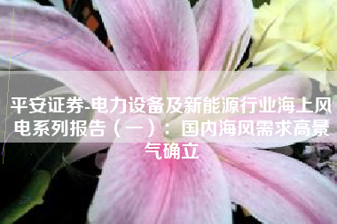 平安证券-电力设备及新能源行业海上风电系列报告（一）：国内海风需求高景气确立