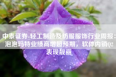 中泰证券-轻工制造及纺服服饰行业周报：泡泡玛特业绩高增超预期，软体内销Q2表现靓丽