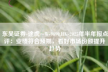 东吴证券-途虎~W-9690.HK-2025年半年报点评：业绩符合预期，看好市场份额提升趋势