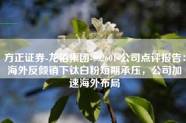 方正证券-龙佰集团-002601-公司点评报告：海外反倾销下钛白粉短期承压，公司加速海外布局