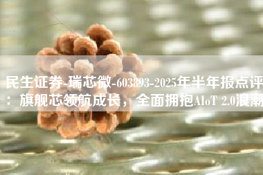 民生证券-瑞芯微-603893-2025年半年报点评：旗舰芯领航成长，全面拥抱AIoT 2.0浪潮