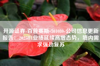 开源证券-百普赛斯-301080-公司信息更新报告：2025H1业绩延续高增态势，境内需求强劲复苏