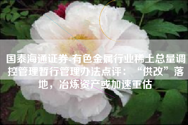 国泰海通证券-有色金属行业稀土总量调控管理暂行管理办法点评：“供改”落地，冶炼资产或加速重估