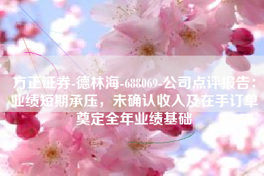 方正证券-德林海-688069-公司点评报告：业绩短期承压，未确认收入及在手订单奠定全年业绩基础