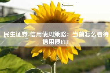 民生证券-信用债周策略：当前怎么看待信用债ETF