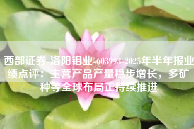 西部证券-洛阳钼业-603993-2025年半年报业绩点评：主营产品产量稳步增长，多矿种等全球布局正持续推进