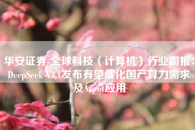 华安证券-全球科技（计算机）行业周报：DeepSeek V3.1发布有望催化国产算力需求及Agent应用