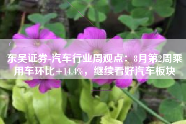 东吴证券-汽车行业周观点：8月第2周乘用车环比+14.4%，继续看好汽车板块