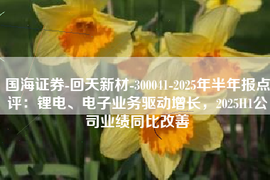 国海证券-回天新材-300041-2025年半年报点评：锂电、电子业务驱动增长，2025H1公司业绩同比改善