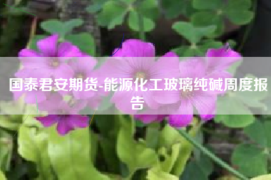 国泰君安期货-能源化工玻璃纯碱周度报告