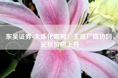 东吴证券-大炼化周报：主流厂商协同，长丝价格上升