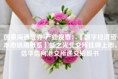 国泰海通证券-产业观察：【数字经济资本市场周概览】能之光北交所挂牌上市，信华信向港交所递交招股书