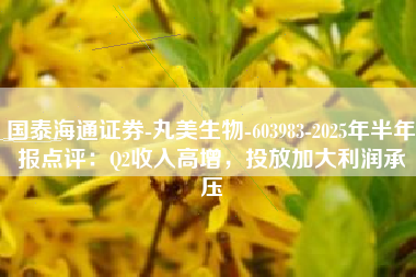 国泰海通证券-丸美生物-603983-2025年半年报点评：Q2收入高增，投放加大利润承压