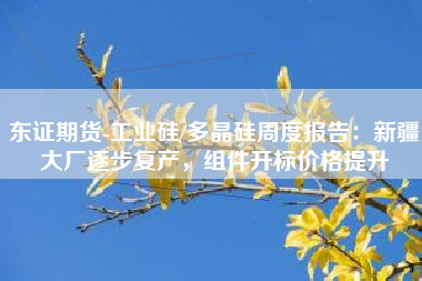 东证期货-工业硅/多晶硅周度报告：新疆大厂逐步复产，组件开标价格提升