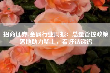 招商证券-金属行业周报：总量管控政策落地助力稀土，看好钴锑钨
