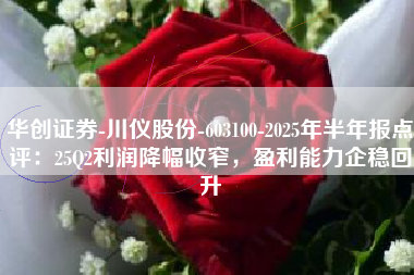 华创证券-川仪股份-603100-2025年半年报点评：25Q2利润降幅收窄，盈利能力企稳回升