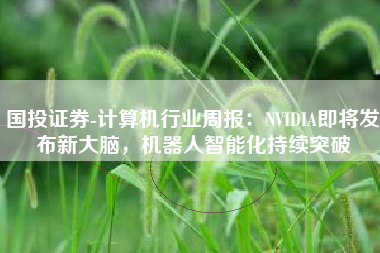 国投证券-计算机行业周报：NVIDIA即将发布新大脑，机器人智能化持续突破