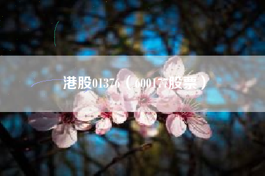 港股01376（600177股票）