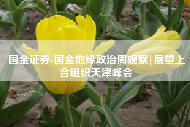 国金证券-国金地缘政治周观察|展望上合组织天津峰会